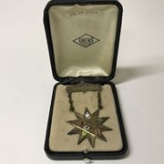 Cover image of Fraternal Pin